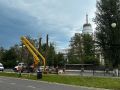Вековые тополя спилили у главного корпуса Ижевского оружейного завода