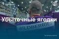 ��� ����� ��-���������, ����� 100 ������� ��������� ����������� � �������� ��-�� ����� ���� �� ������ Wildberries � ��������