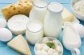 В 2026 году Удмуртия на 30% увеличила экспорт молочной продукции за границу