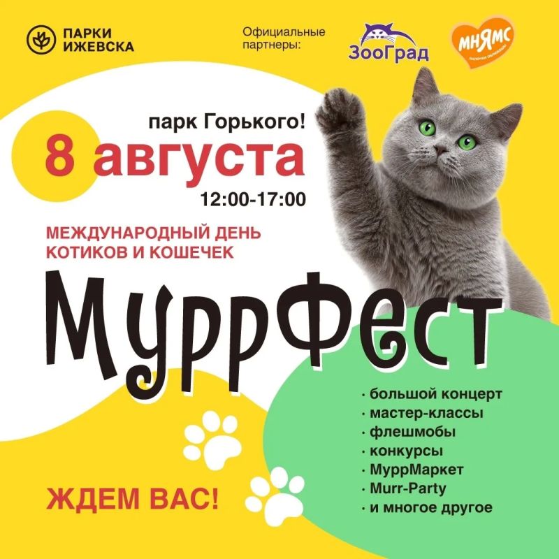 МуррФест. 8 августа с 12:00 до 17:00 в Летнем саду отметят Международный день кошек: Концерт, детская танцевальная вечеринка, квест, викторина, розыгрыш и фотозона