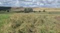 В Сарапульском районе погиб водитель квадроцикла