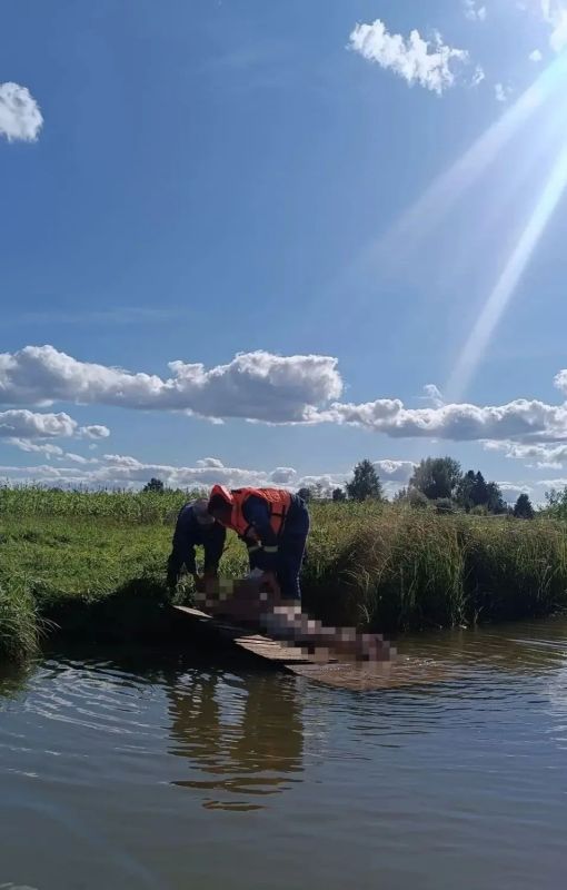 Трагедия на воде в Глазовском районе