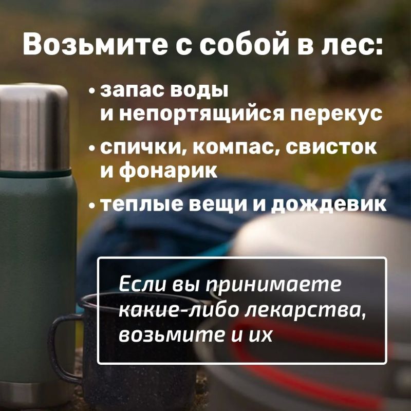 Лисички, подосиновики, маслята Лисички, подосиновики, маслята