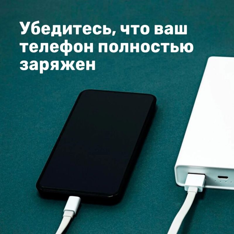 Лисички, подосиновики, маслята Лисички, подосиновики, маслята