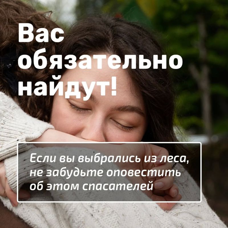 Лисички, подосиновики, маслята Лисички, подосиновики, маслята