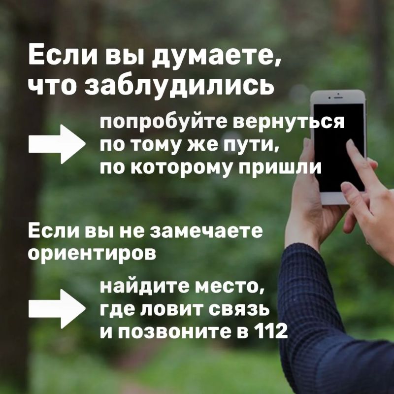 Лисички, подосиновики, маслята Лисички, подосиновики, маслята