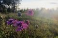 До +15°С похолодает в Удмуртии 14 августа