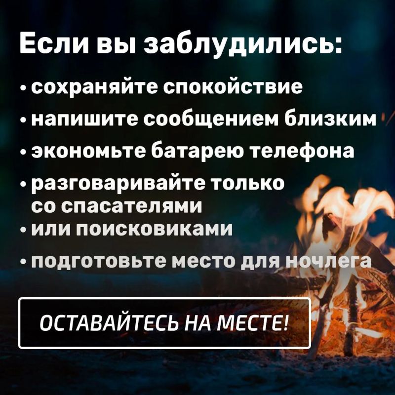 Лисички, подосиновики, маслята Лисички, подосиновики, маслята