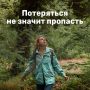 Лисички, подосиновики, маслята