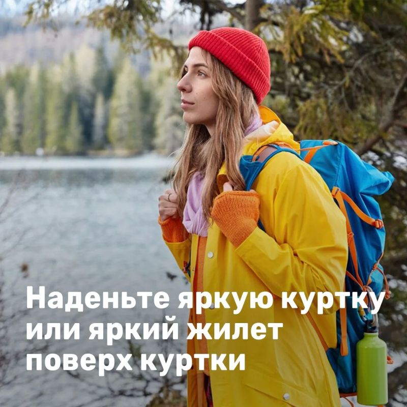 Лисички, подосиновики, маслята Лисички, подосиновики, маслята