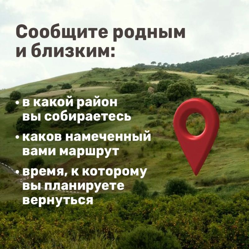 Лисички, подосиновики, маслята Лисички, подосиновики, маслята