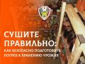 Сушите правильно: как безопасно подготовить погреб к хранению урожая