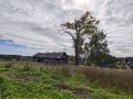 20 августа в Удмуртии будет облачно с прояснениями