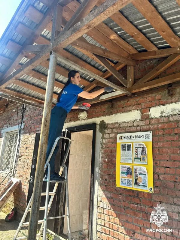 Пожарные из Ижевска разобрали в приюте «Кот и пес» опасную печку и навели порядок Пожарные из Ижевска разобрали в приюте «Кот и пес» опасную печку и навели порядок