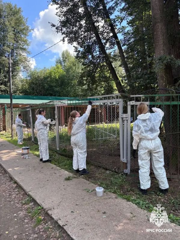 Пожарные из Ижевска разобрали в приюте «Кот и пес» опасную печку и навели порядок Пожарные из Ижевска разобрали в приюте «Кот и пес» опасную печку и навели порядок