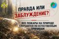 «Молния ударила, вот и загорелось!»