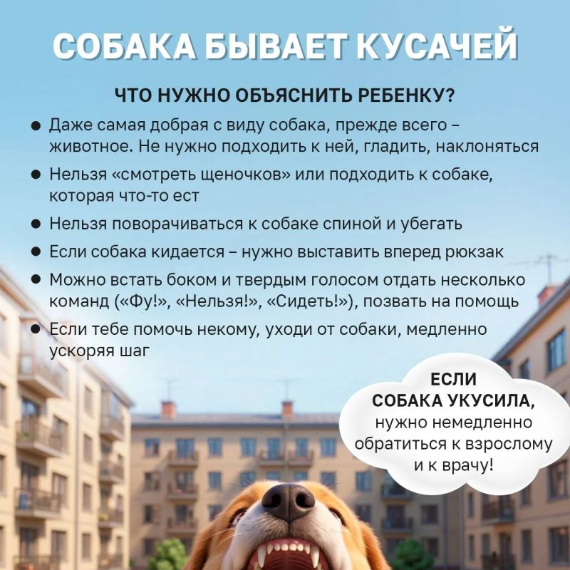 Новый учебный год уже на подходе Новый учебный год уже на подходе