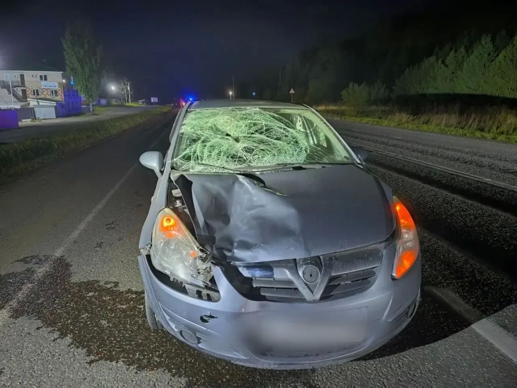 На загородной трассе в Завьяловском районе в дорожной аварии погиб пешеход На загородной трассе в Завьяловском районе в дорожной аварии погиб пешеход