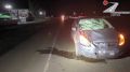 На загородной трассе в Завьяловском районе в дорожной аварии погиб пешеход