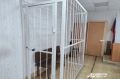 В Удмуртии осудили фельдшера, которая за деньги оформляла больничные листы