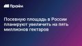 Посевную площадь в России планируют увеличить на пять миллионов гектаров