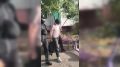 23-летнего предпринимателя из Ижевска — фигуранта уголовного дела о колл-центре с сим-боксами для мошенников — задержали в Оренбурге