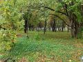 В Удмуртии в четверг, 17 сентября, температура воздуха днём составит +13-18°С