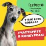В парке Кирова 19 сентября пройдет благотворительный семейный фестиваль «Гавфест»