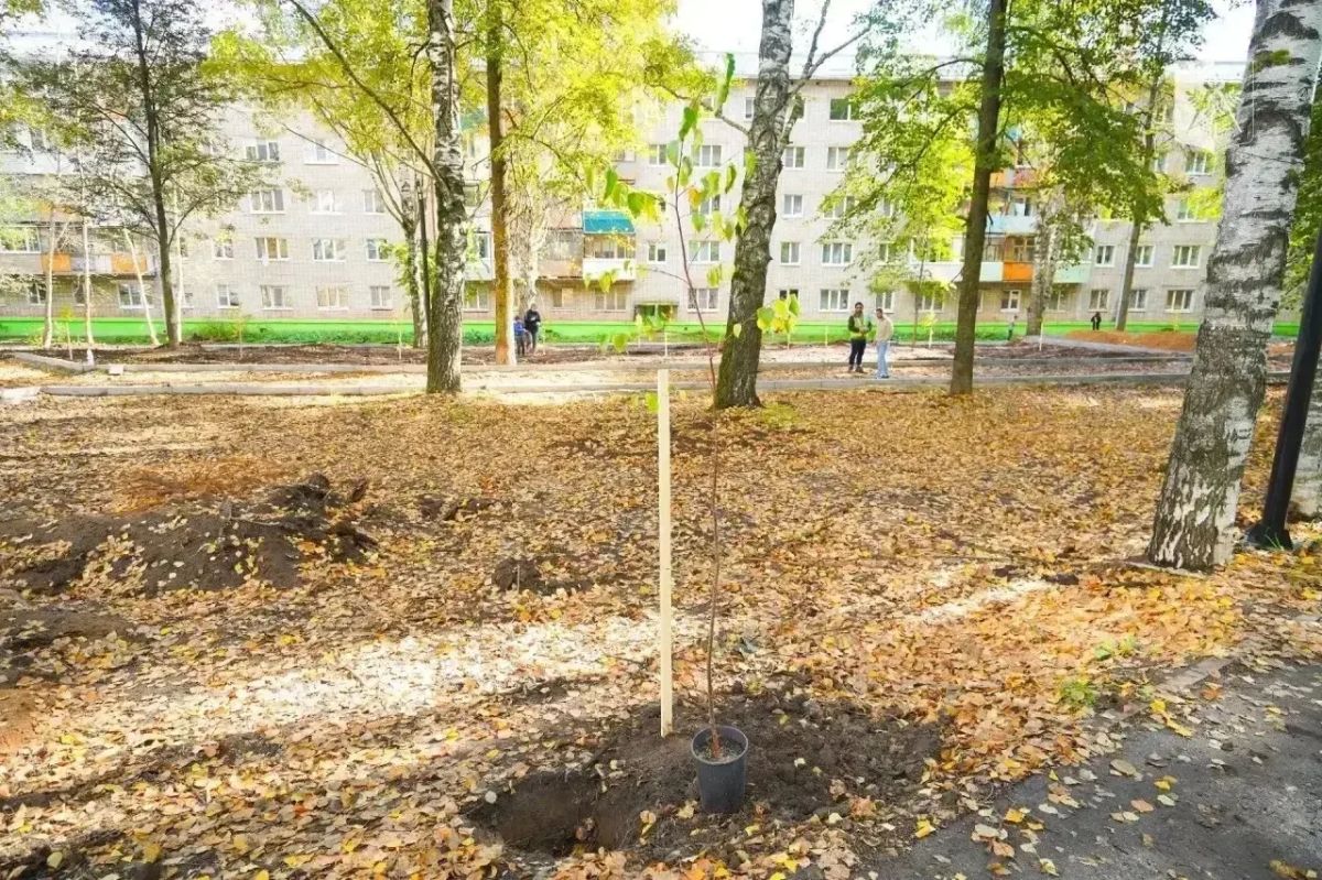 В Ленинском районе обновляем Березовский сквер В Ленинском районе обновляем Березовский сквер
