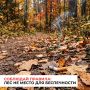 В лесах Удмуртии отменили особый противопожарный режим