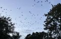 Власти города Глазова в Удмуртии предупреждают жителей о запуске в небо воздушного судна 29 сентября