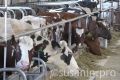 Удмуртия вошла в число регионов, которые получат дополнительные средства на поддержку агрострахования