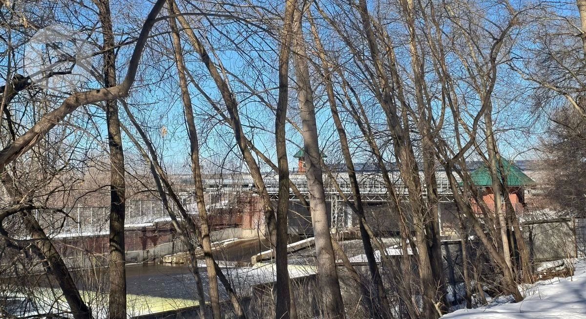 В Ижевске определили подрядчика для валки аварийных деревьев у плотины
