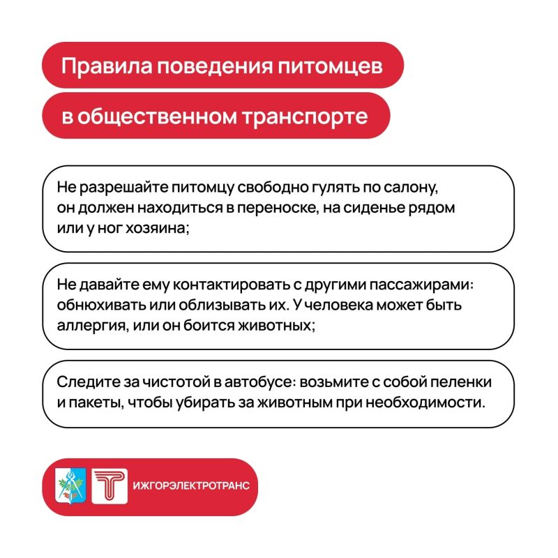 В «ИжГЭТ» напомнили, как перевозить питомцев в общественном транспорте