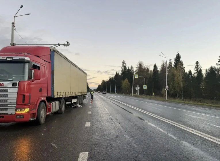 Фура насмерть сбила восьмилетнего мальчика на трассе в Удмуртии