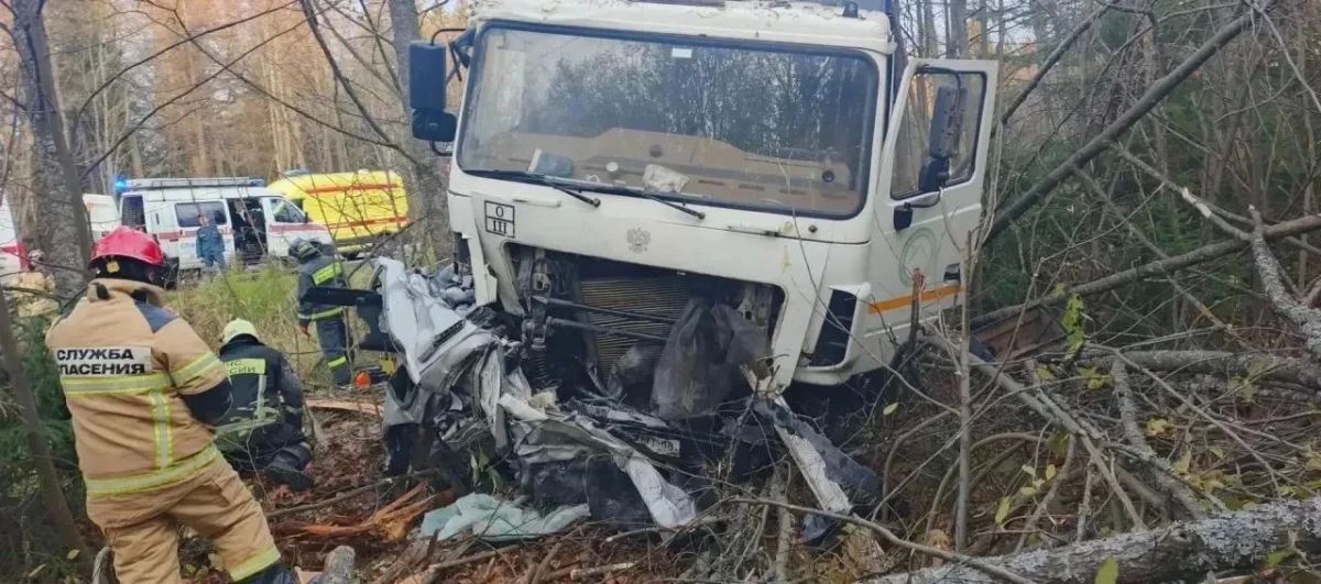 Столкновение с грузовиком на трассе в Удмуртии унесло жизнь 25-летней девушки Столкновение с грузовиком на трассе в Удмуртии унесло жизнь 25-летней девушки