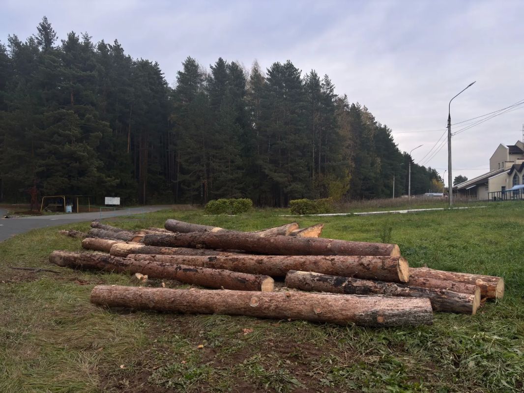 На биатлонном комплексе имени Демидова в Ижевске начали подготовку трасс к зимнему сезону На биатлонном комплексе имени Демидова в Ижевске начали подготовку трасс к зимнему сезону