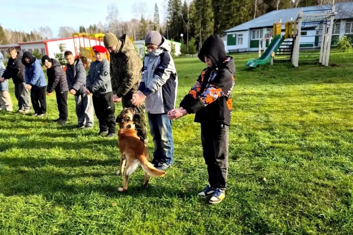 В Удмуртии кинологи Росгвардии рассказали школьникам о своих четвероногих напарниках В Удмуртии кинологи Росгвардии рассказали школьникам о своих четвероногих напарниках