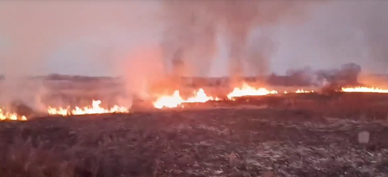 Пожар на территории более двух гектаров ликвидировали в Ярском районе