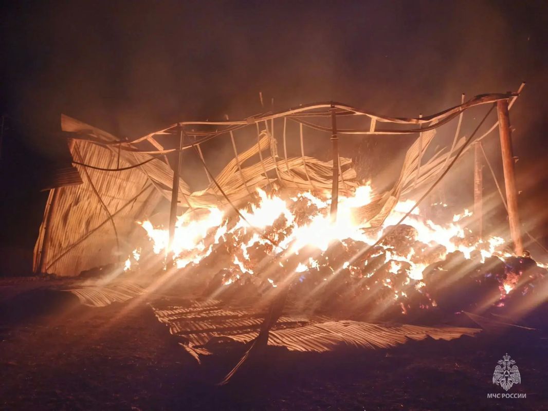 250 тонн сена и соломы сгорело в Удмуртии 250 тонн сена и соломы сгорело в Удмуртии