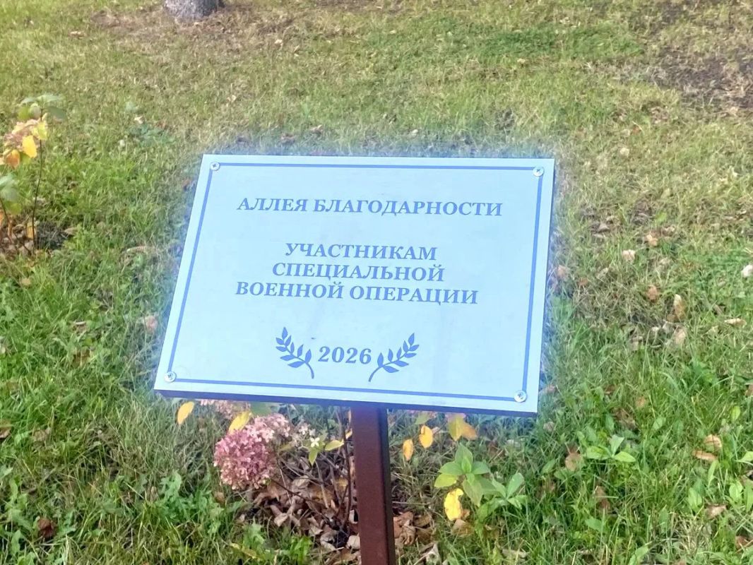 Осенние гортензии обрамляют газоны сквера у памятника Ленину в Ижевске Осенние гортензии обрамляют газоны сквера у памятника Ленину в Ижевске