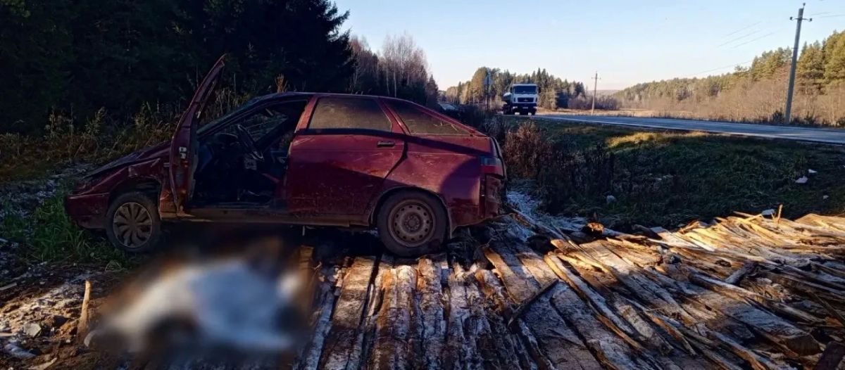 Смертельное ДТП в Малопургинском районе — погиб водитель Смертельное ДТП в Малопургинском районе — погиб водитель